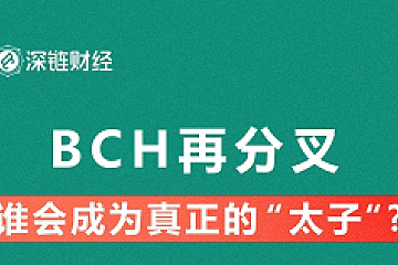 BCH再分叉，谁会成为真正的“太子”？