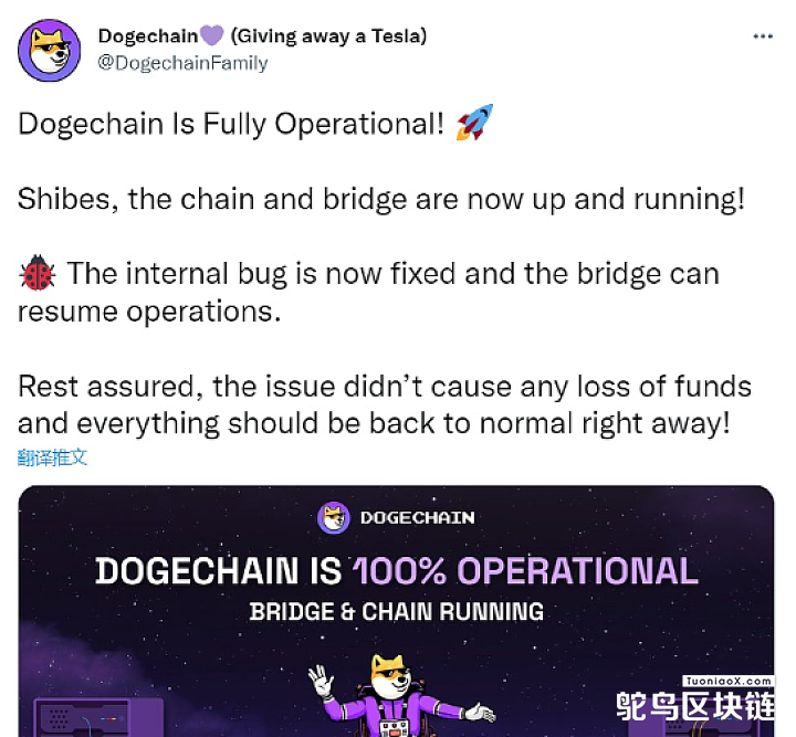 Dogechain宣布已重新恢复运行，维护并未造成任何资金损失